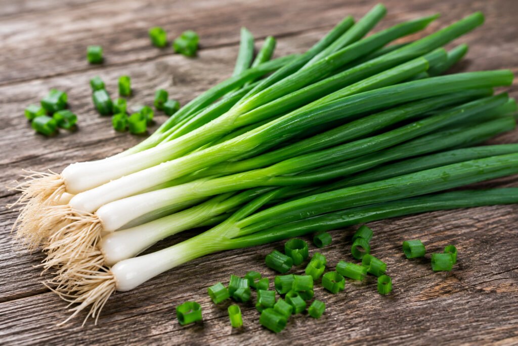 Green onion growing in small balcony pot